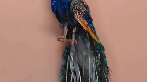 Thomas Deininger — “Trash to Treasure” Is an Understatement 🎨🔥