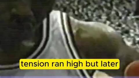 🏀 Barkley’s Olympic Elbow Drama! (Short Clip) | Dream Team Memories