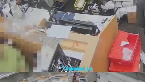 Diversity is why we can't have nice things