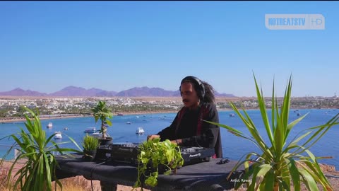 🔴 [HD+] Electronic Music Experience from Clubs, Events, Festivals and Studio Sessions 🎧🎶