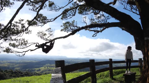 Climb Around a Scenic Lookout
