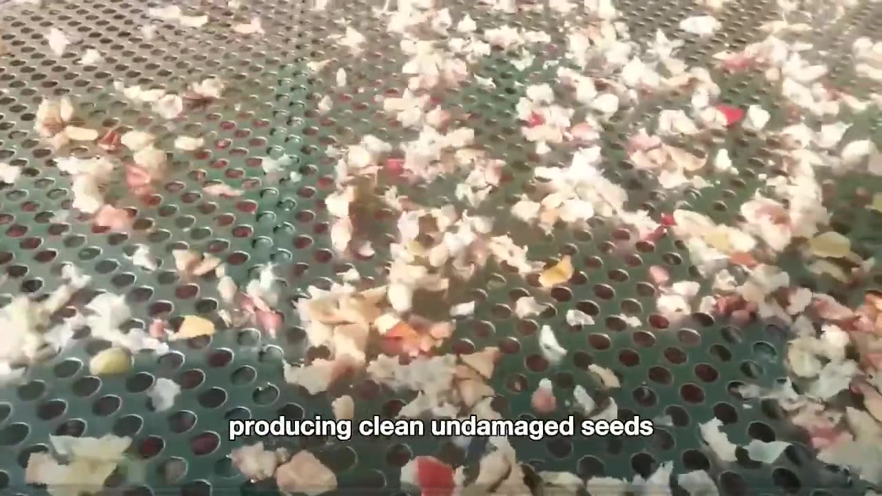 How Chocolate Is Made 🍫 | Secret Inside a MASSIVE Chocolate Factory!