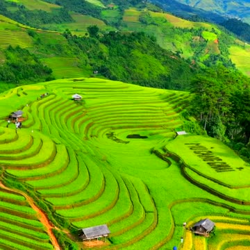 Surreal beauty in Vietnam (Part 7)