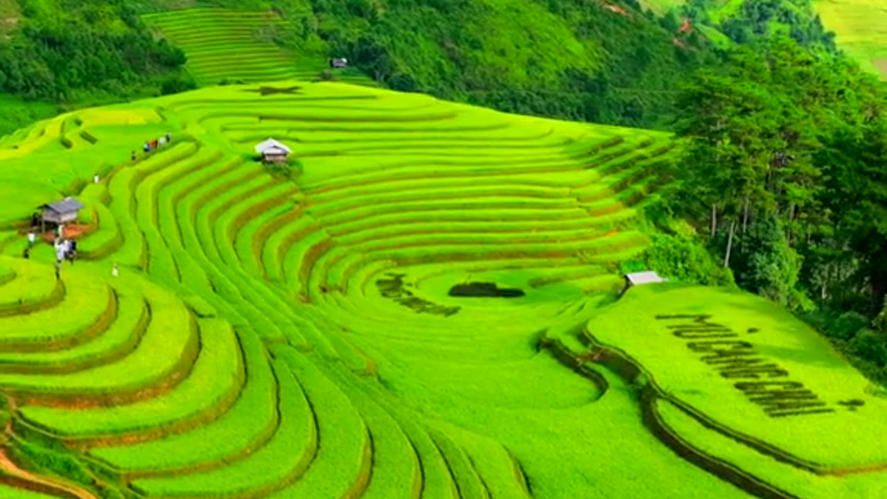 Surreal beauty in Vietnam (Part 7)