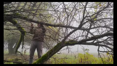 Building Nature Shelters: Bushcraft Camping for Beginners