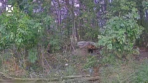 Enemy dugouts, equipment, and personnel: "Forpost" border guards destroy enemy