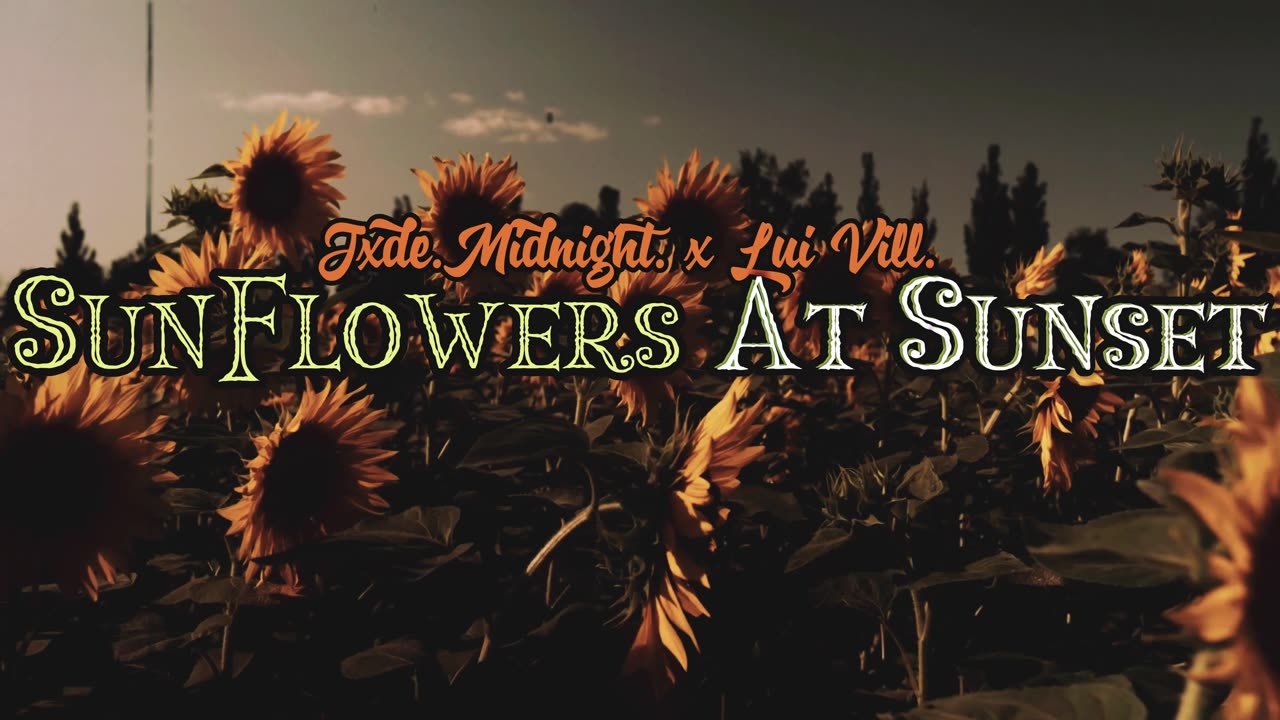 Jxde Midnight x @LuiVill - Sunflowers At Sunset @fredirie [Visualizer]...