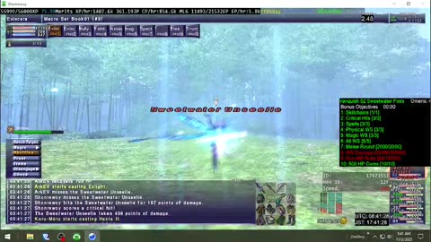 Playing Final Fantasy XI Online