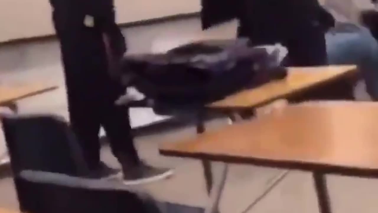 Landsharks fight over smashing a boy