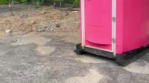 Welcome To The Shit Show