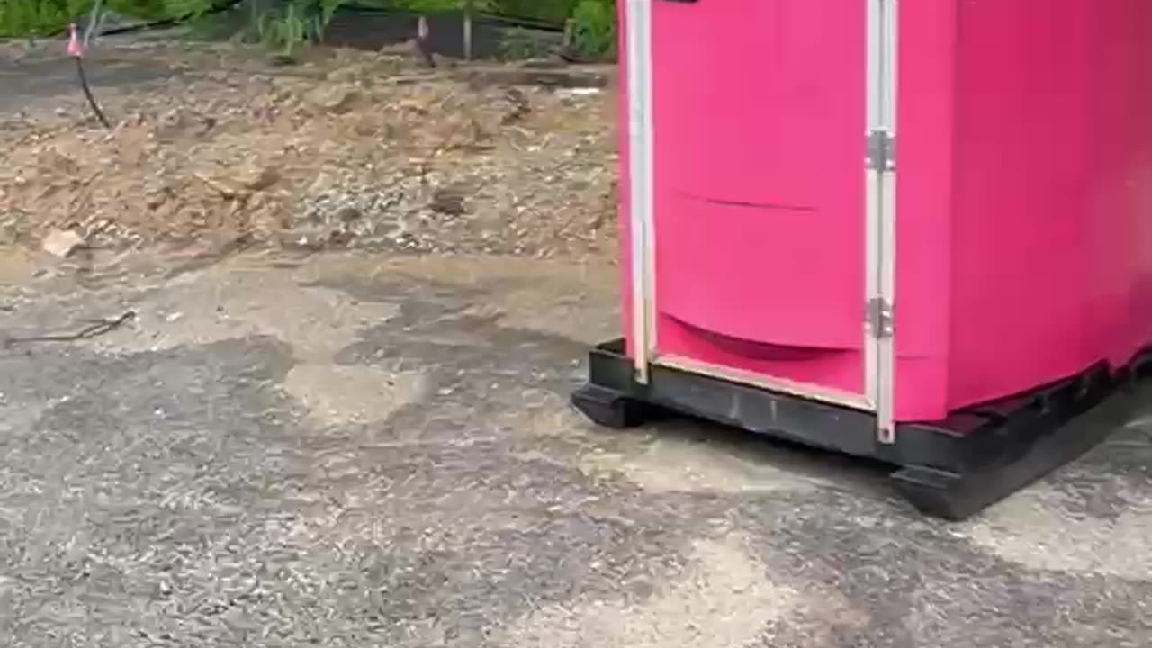 Welcome To The Shit Show