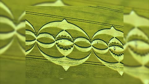 Crop Circle Realities (2021) | Full Documentary Movie | Stephen Bassett | Gary King