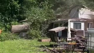 😂🌳 Tree Cutting Near House: A Hilarious Disaster! | FunFM
