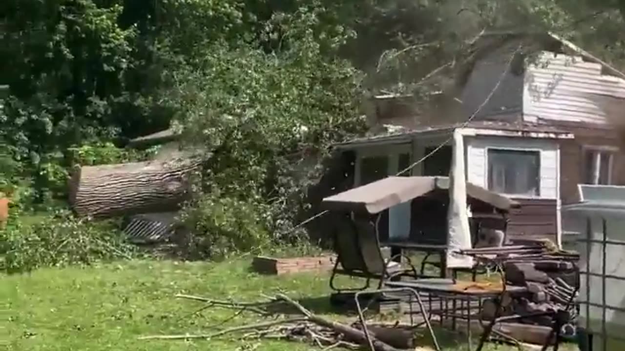 😂🌳 Tree Cutting Near House: A Hilarious Disaster! | FunFM