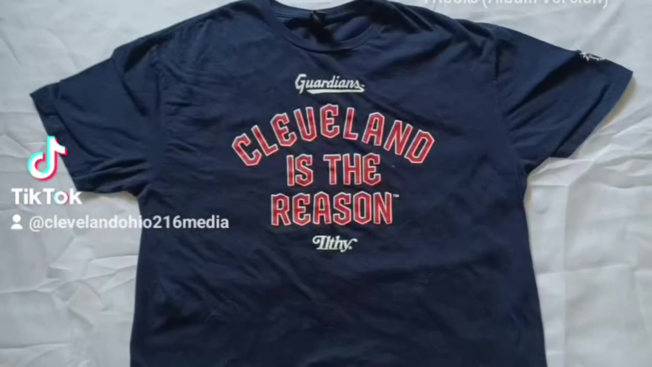 365 Days of Cleveland T-Shirts