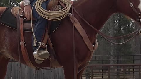 A big stop isn't necessary for this.