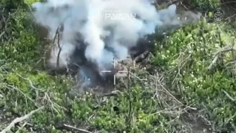 Incredible Footage from Ukrainian Special Forces
