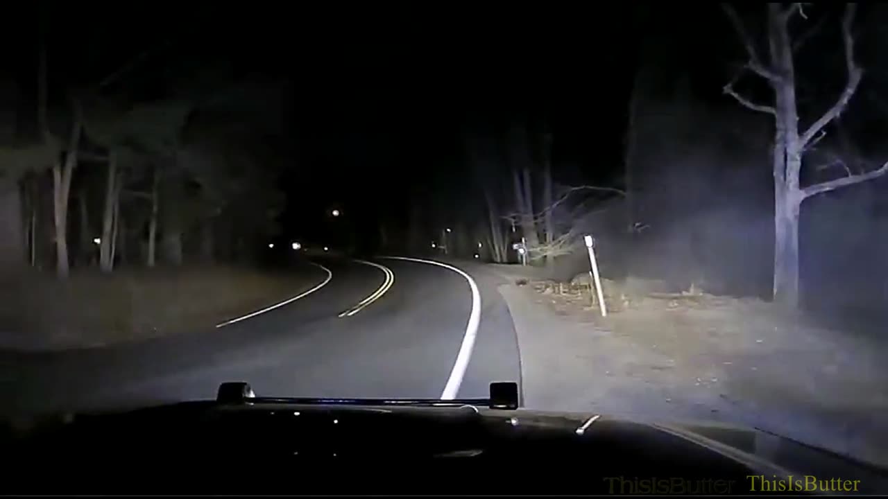Dashcam shows man, dog hospitalized after car veers off-road, flips over in New Hampshire yard