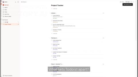 Todoist Pros, Cons & Features | Best for Simple Projects?