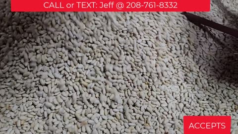 FOR SALE: 2013 Buhler Sortex Model Z+2BL 2 Chute Color Optical Sorter