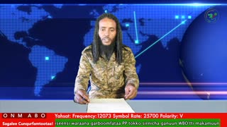 Oduu Waaree ONM-ABO Waxaabajjii 11-2025 itti dhiyaadhaa!