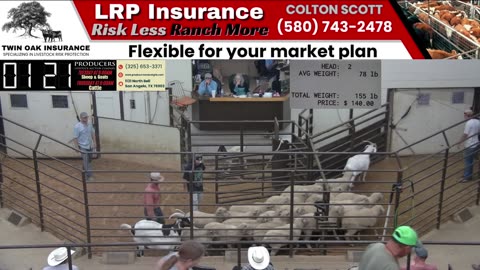 8/12/2025 - Sheep & Goat Auction - Producers Livestock Auction Company
