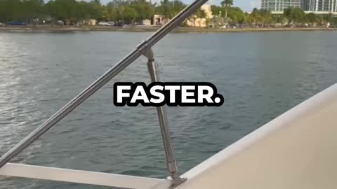 New Website That Make Money #viral #mysteryinsid #trending #motivation #shortsfeed #urfeed #ibitalk