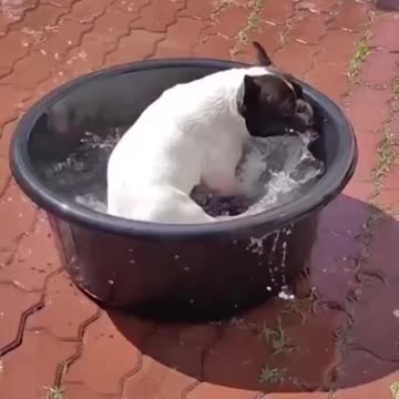 Round and round.. 😅