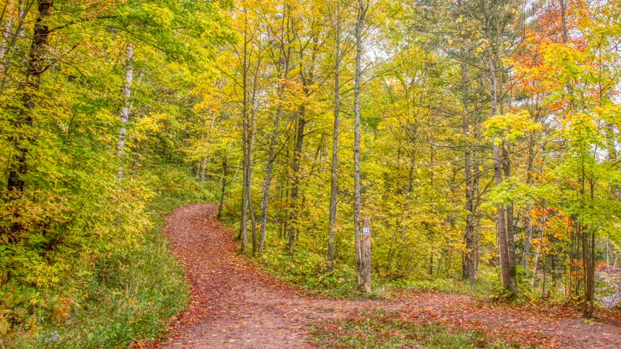 The Visual Bible Verse of the Day: One Way and One Path to God
