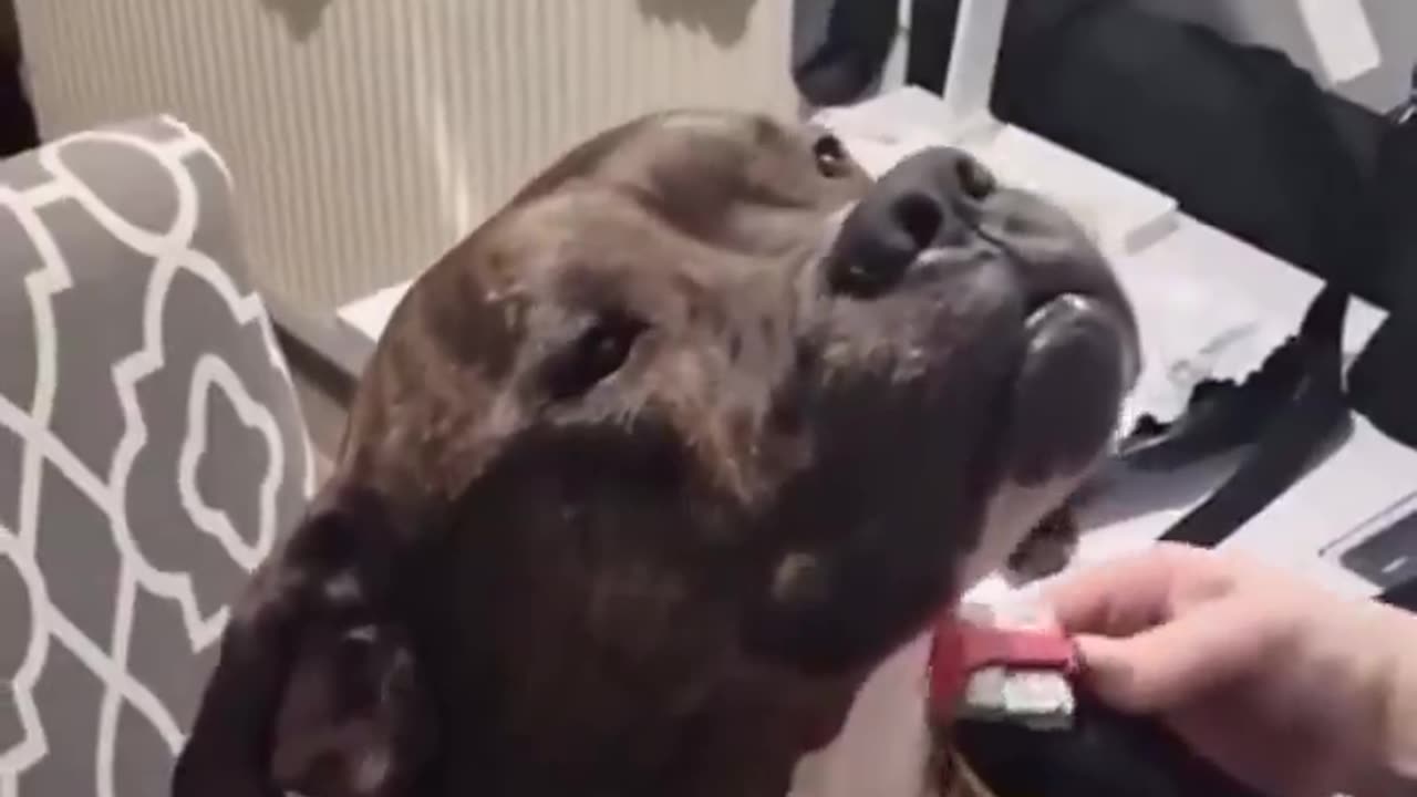 😂