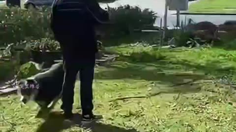 Unlucky humans