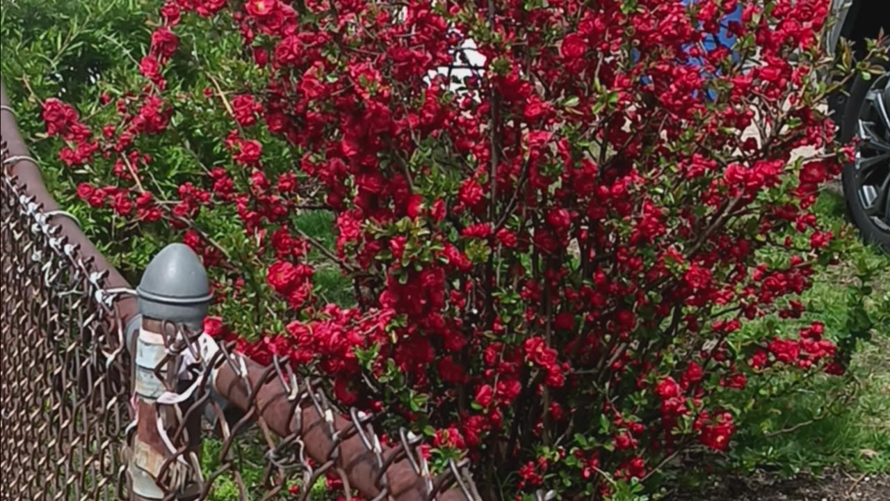 Spring colors.