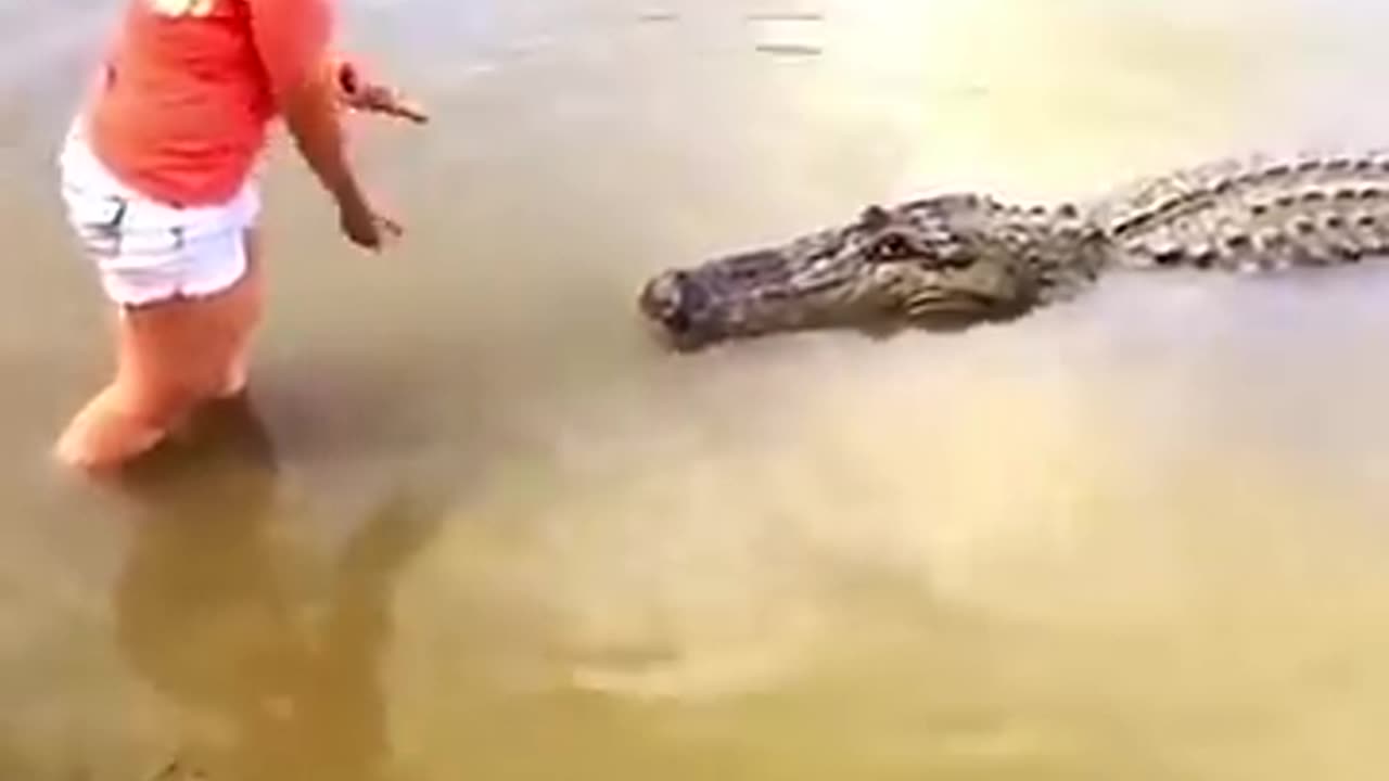 Breaking: ReAction Video: Florida Woman's Close Encounter w/ a Ginormous Alligat