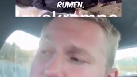 In Norway Sweden and Denmark governments are forcing farmers to add government-approved chemicals