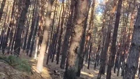 🚁🔥 Ukraine Russia War | Russian Soldiers Under Helicopter Assault | RCF