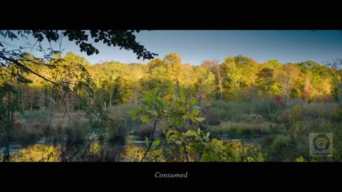 A Couple Entered The American Jungle to Celebrate Cancer Recovery—Then Faced Their Worst Nightmare