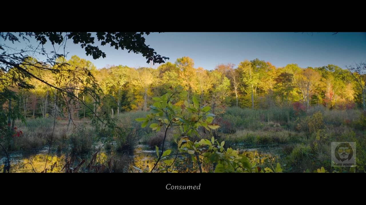 A Couple Entered The American Jungle to Celebrate Cancer Recovery—Then Faced Their Worst Nightmare