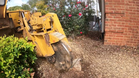 How to grind a stump close to the house