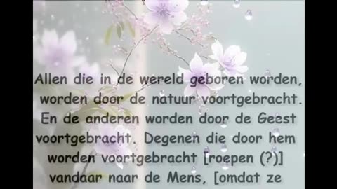 Allen die