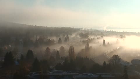 "Success is what happens after you have survived all of your disappointments.