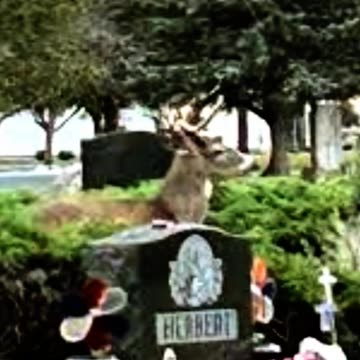 FAMOUS GRAVES - VOL. 660: DONALD HERBERT