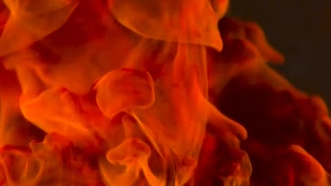 Daily Horoscope | Aquarius 🌟