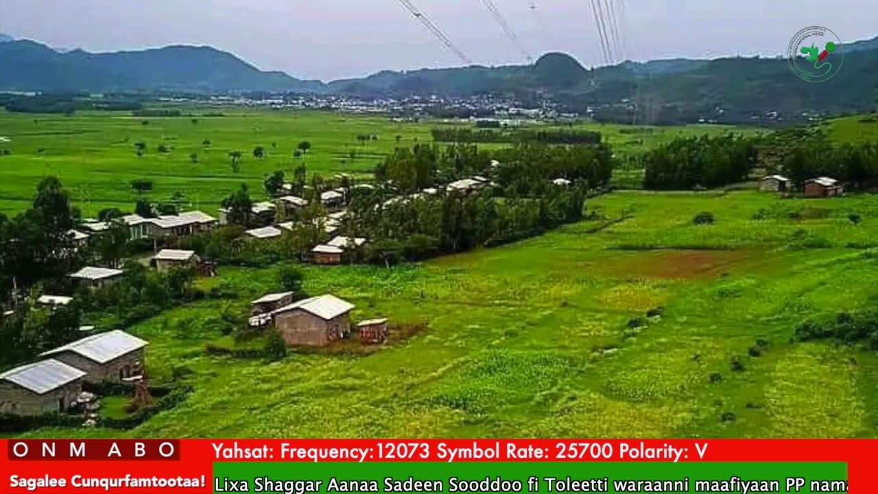 Oduu Ganama ONM-ABO Adoolessa 7-2025 itti dhiyaadhaa!