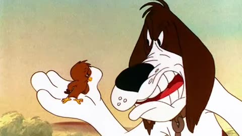 Walky Talky Hawky (1946)