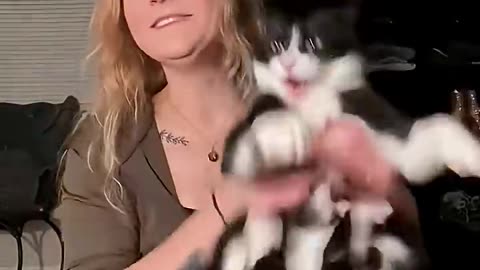 Cat's powerlessness. 🐱 The ultimate cat video!