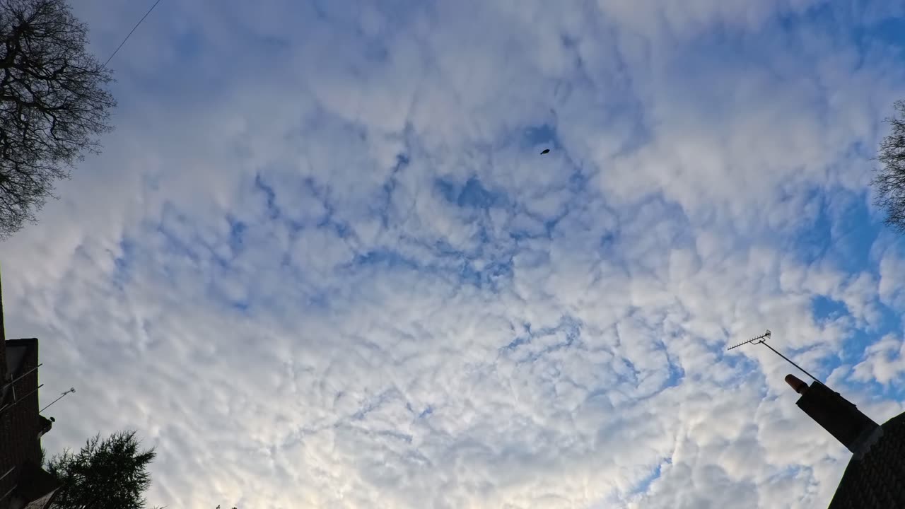 Sky Watch #540 - 14/3/2025