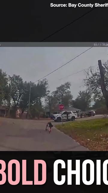 A Bold Choice! Man Sprints Away from Sheriff's Deputy Only to Cower at Threat of K-9