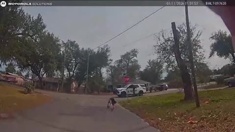 A Bold Choice! Man Sprints Away from Sheriff's Deputy Only to Cower at Threat of K-9