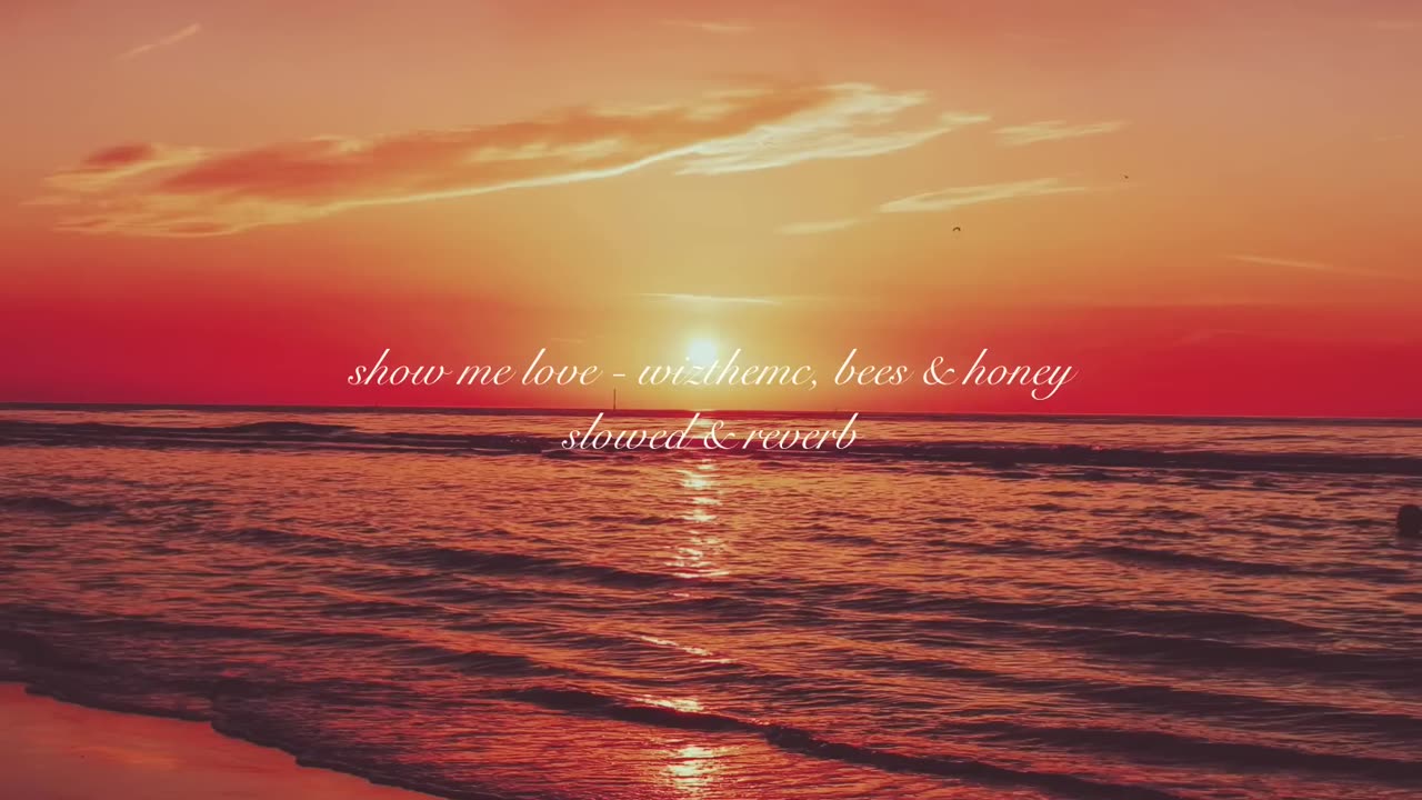 Show Me Love (Slowed & Reverb) - WizTheMc, bees & honey