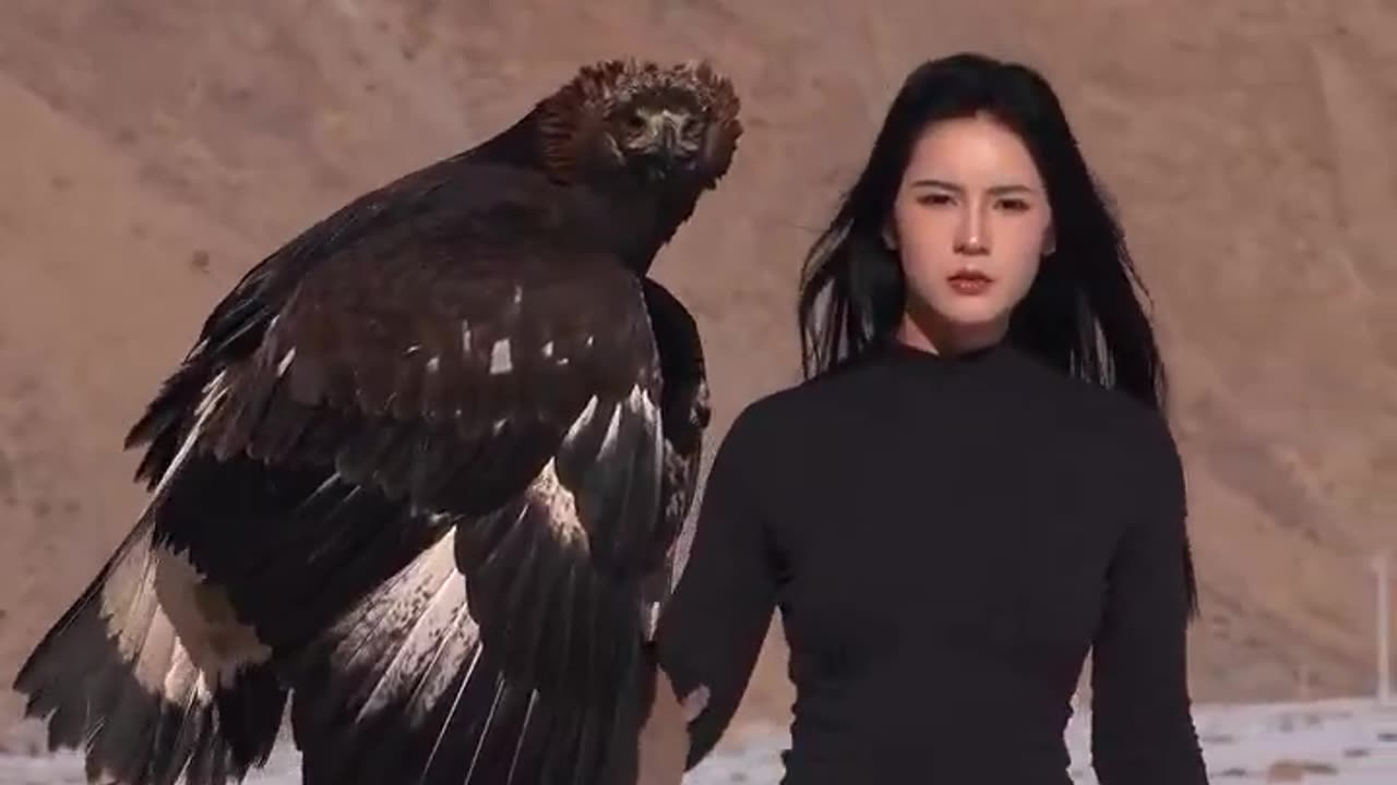 The size of a golden Eagle 🦅
